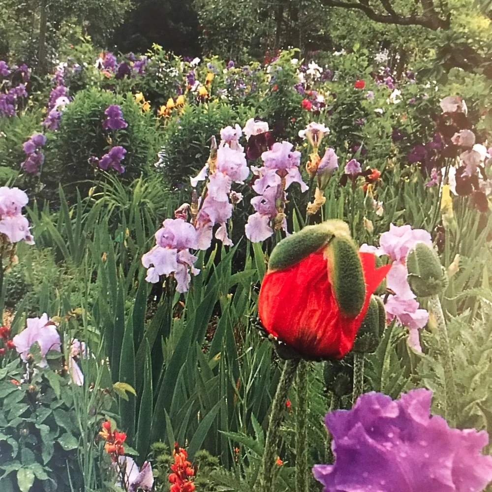 NWT  "Monet's Garden - Through the Seasons at Giverny" by Vivian Russel - Picture 11 of 12